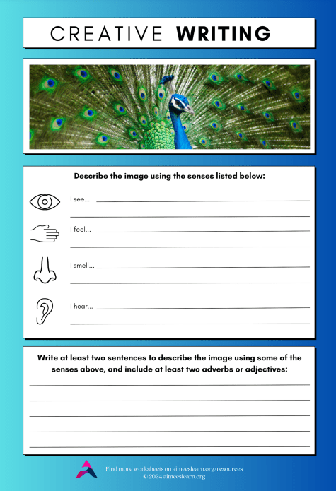 This image has an empty alt attribute; its file name is image-3.png